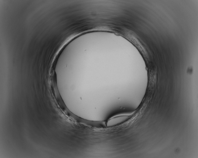 X0000098030908200804251412