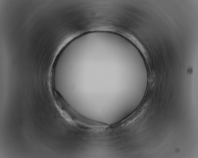 X0000098030909200804251412