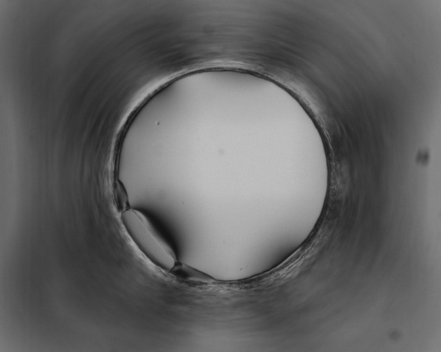 X0000098030910200804251412