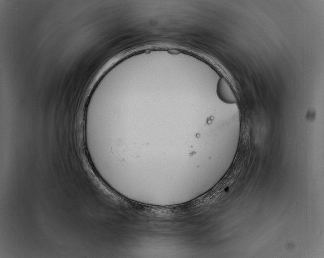 X0000098030911200804251412