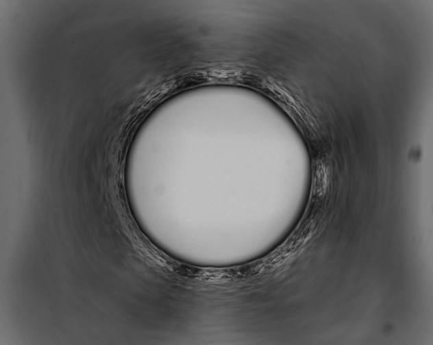 X0000098030913200804251411