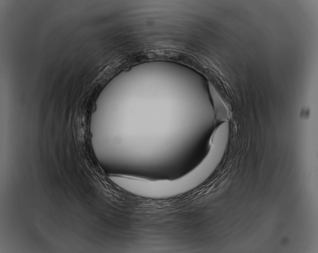 X0000098030915200804251411