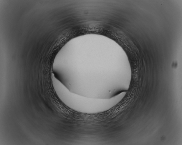 X0000098030916200804251411