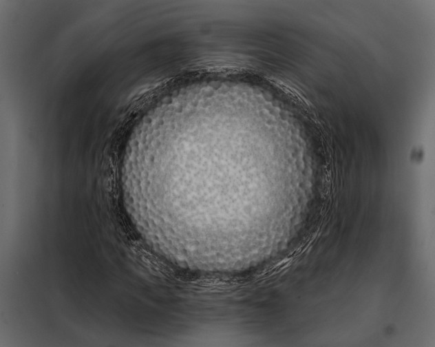 X0000098030917200804251411