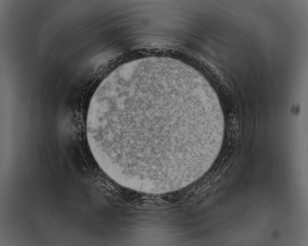 X0000098030918200804251411