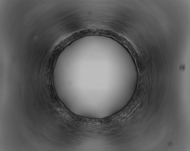 X0000098030919200804251411