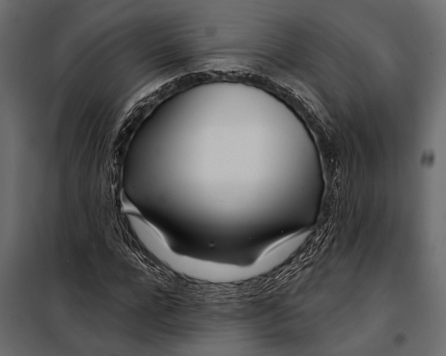 X0000098030920200804251411