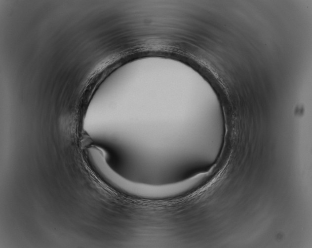 X0000098030922200804251411