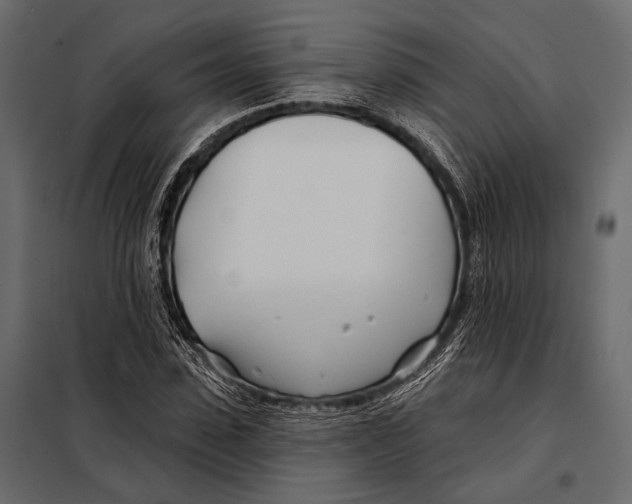 X0000098030923200804251411