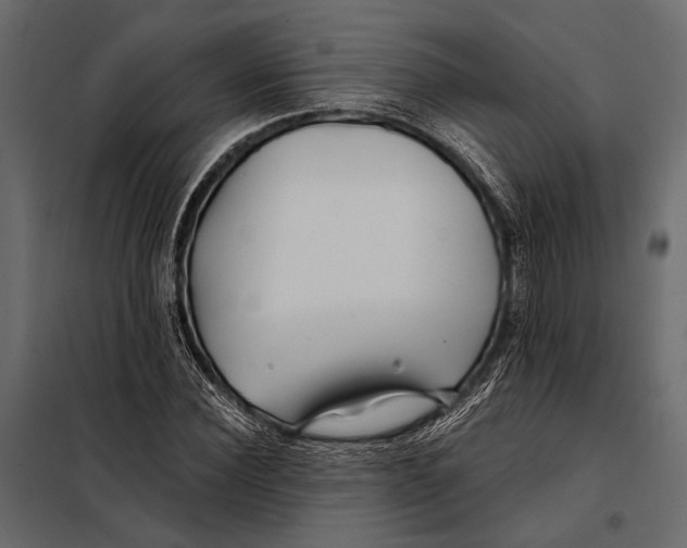 X0000098030924200804251411