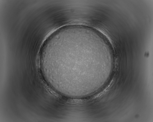 X0000098030925200804251411