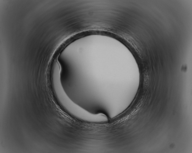 X0000098030926200804251411