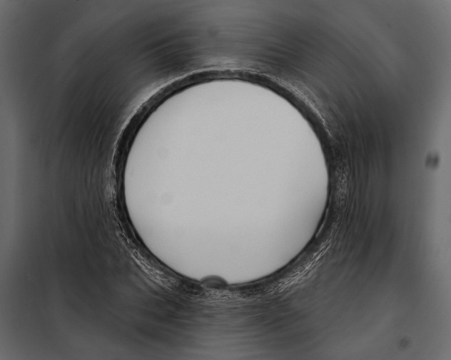 X0000098030927200804251411