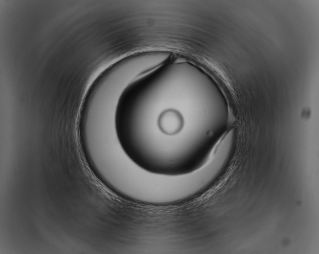 X0000098030928200804251411