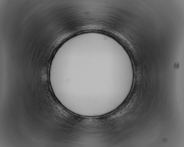 X0000098030929200804251411