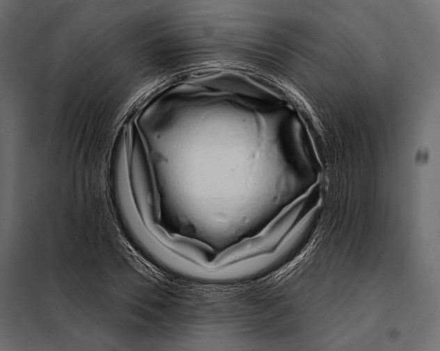 X0000098030930200804251411