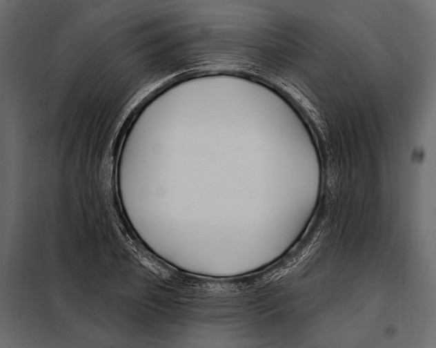 X0000098030933200804251411