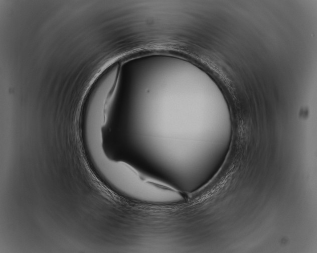 X0000098030934200804251411