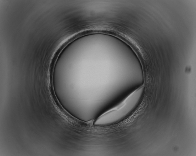 X0000098030935200804251411