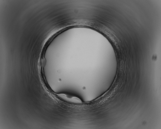 X0000098030936200804251411