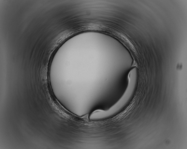 X0000098030938200804251411