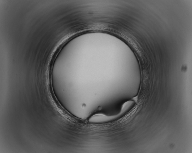 X0000098030939200804251411