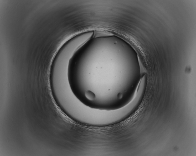 X0000098030942200804251411