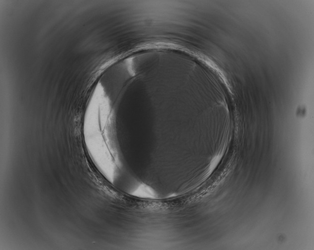 X0000098030945200804251411