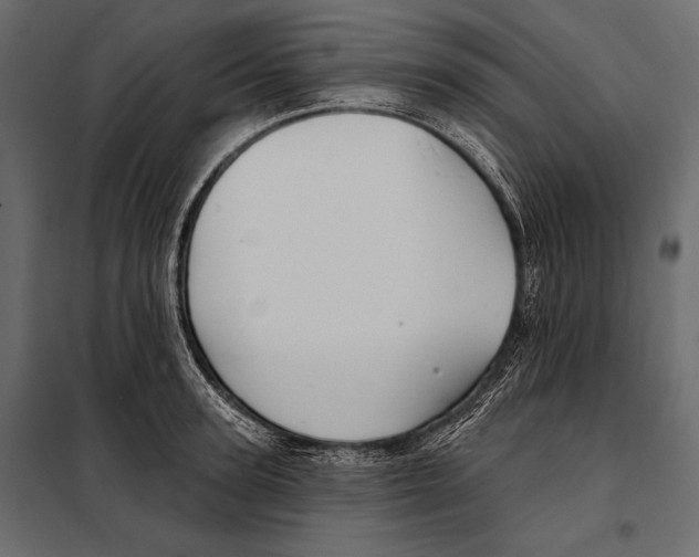 X0000098030947200804251411