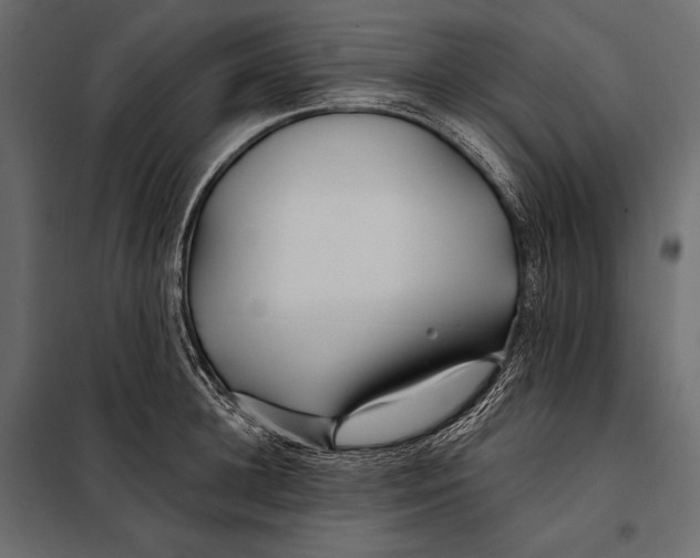 X0000098030948200804251411