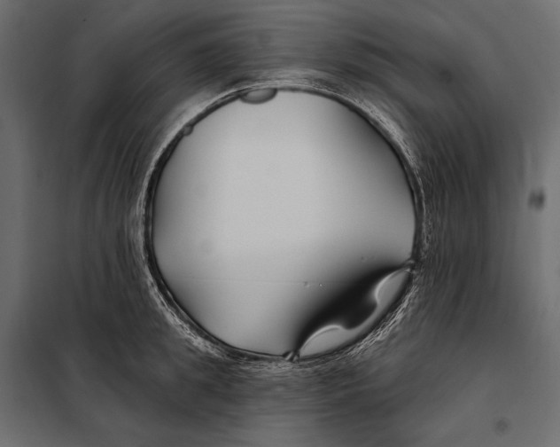 X0000098030949200804251411