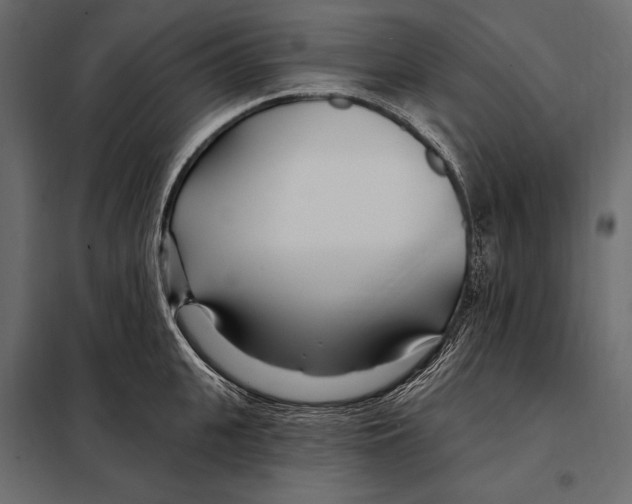 X0000098030951200804251412