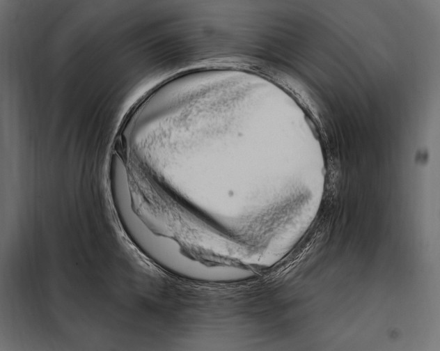 X0000098030952200804251412