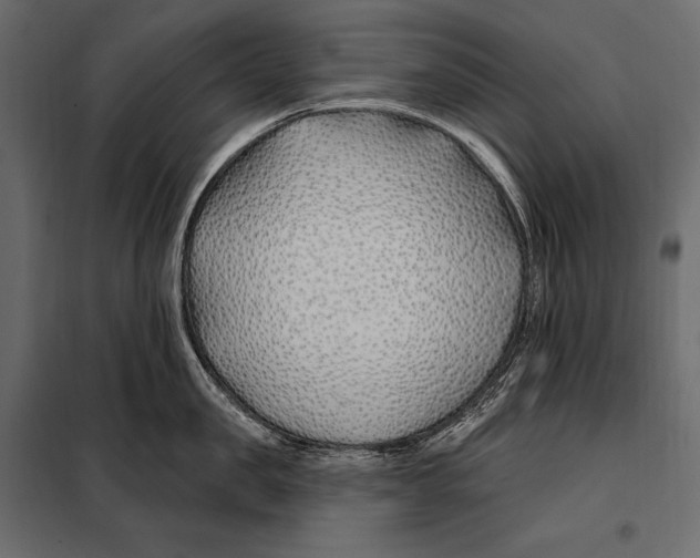 X0000098030957200804251412