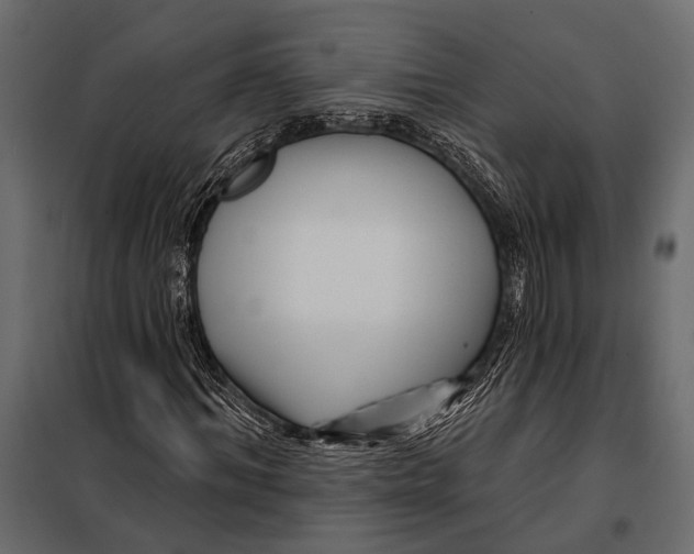 X0000098030964200804251411