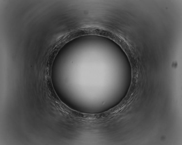 X0000098030965200804251411