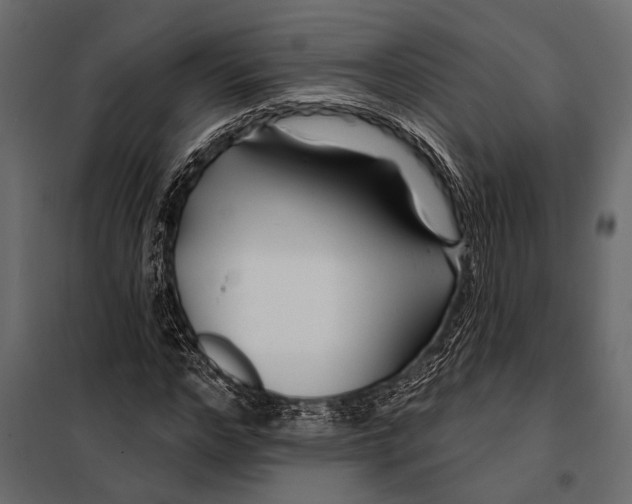 X0000098030968200804251411