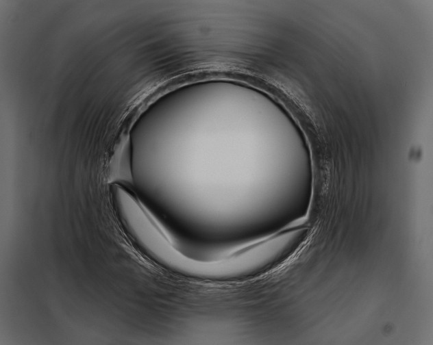 X0000098030969200804251411