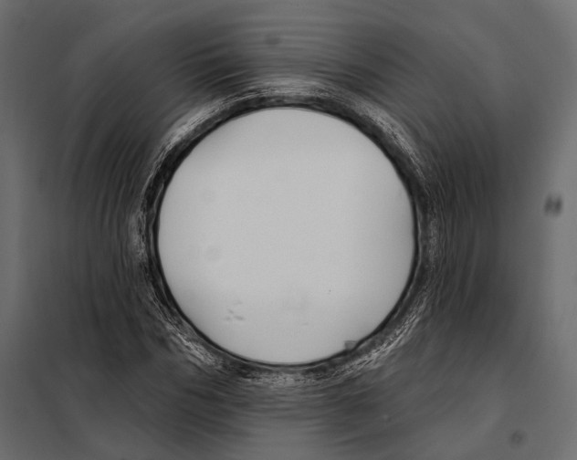 X0000098030970200804251411