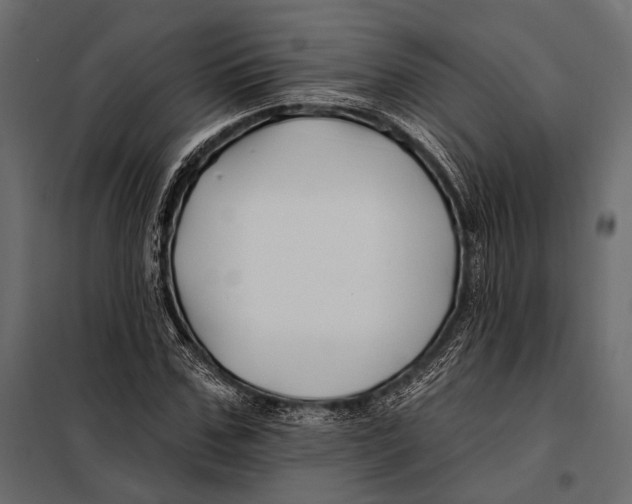 X0000098030971200804251411