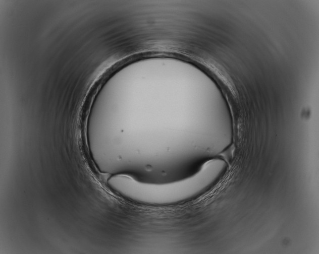 X0000098030972200804251411