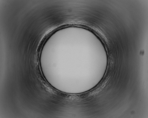 X0000098030974200804251411