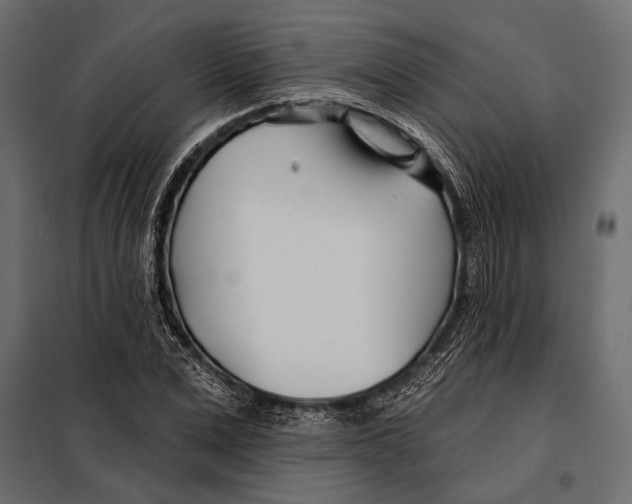 X0000098030975200804251411