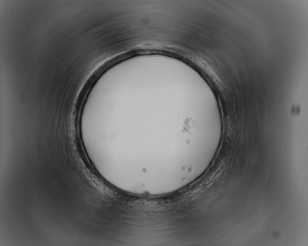 X0000098030976200804251411