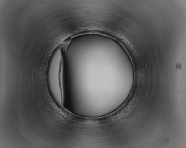 X0000098030977200804251411