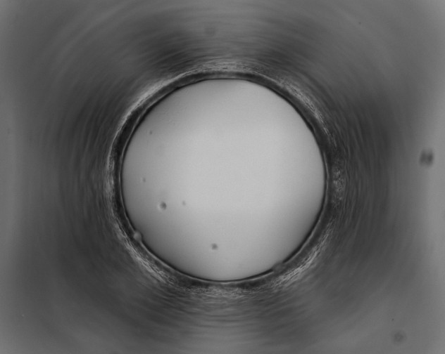 X0000098030981200804251411