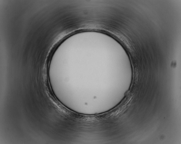 X0000098030982200804251411