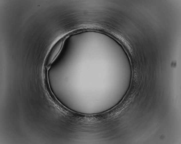 X0000098030983200804251411