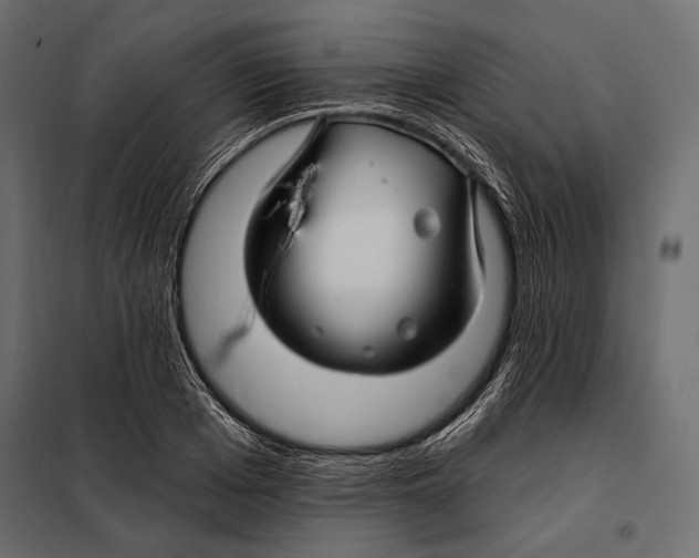 X0000098030985200804251411