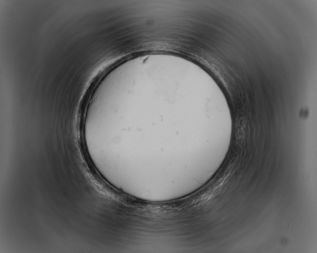 X0000098030987200804251411